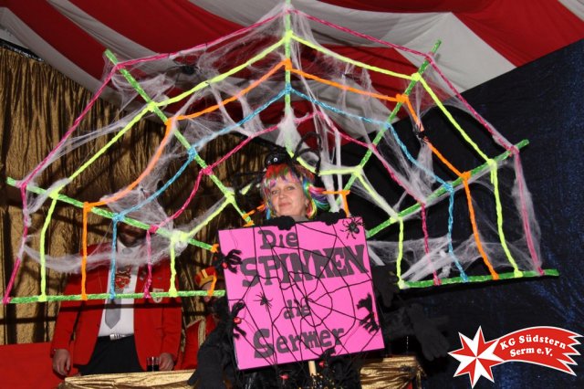27.02.2017 - Sermer Maskenball
