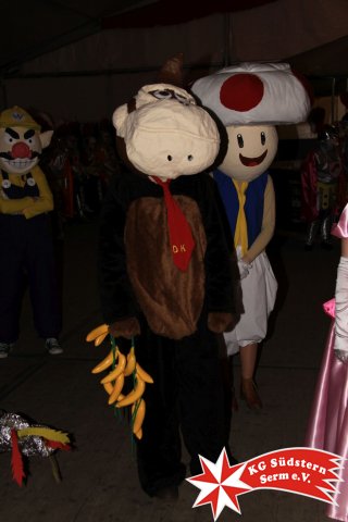 12.02.2018 - Sermer Maskenball